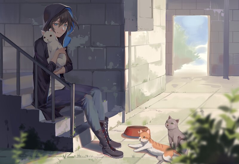 Person Holding White Cat — Gray