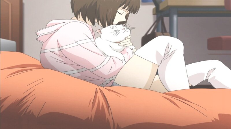 Person Holding White Cat
