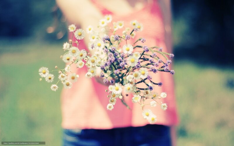 Person Holding Wildflowers — White, Serene