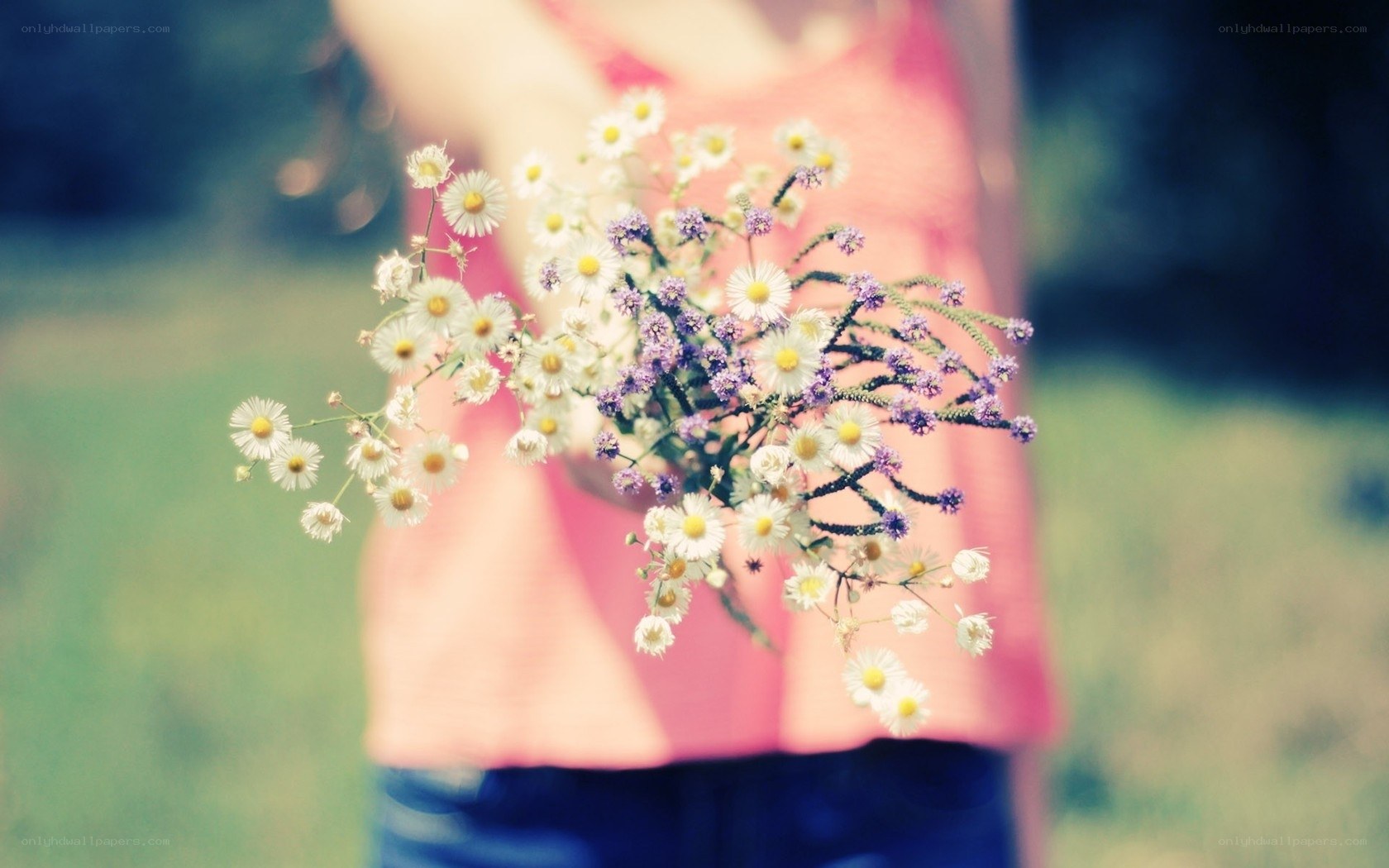 person holding wildflowers