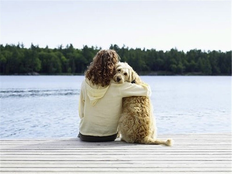 Person Hugging Dog