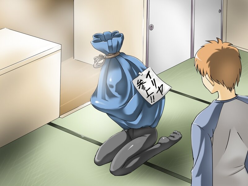 person in a bag
