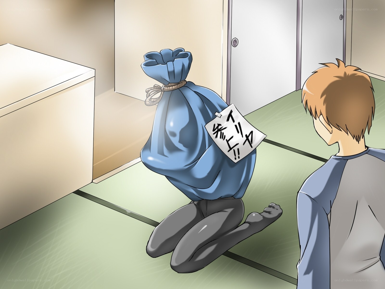 person in a bag