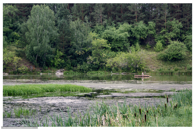 Person in a Boat — Green, Serene, Afternoon, Photograph