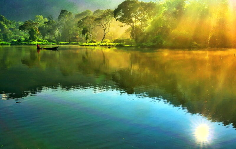Person in a Boat — Green, Serene, Morning, Photograph