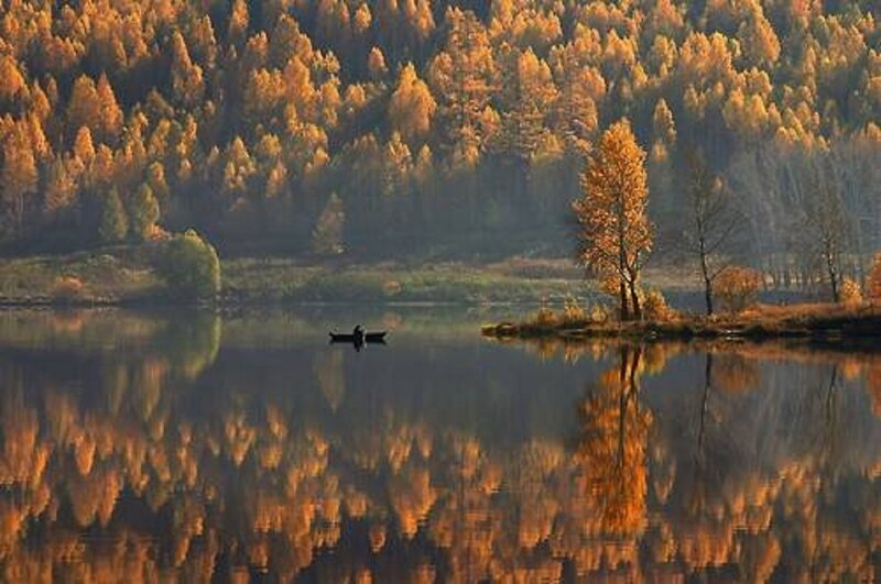 Person in a Boat — Orange, Serene, Autumn, Photograph
