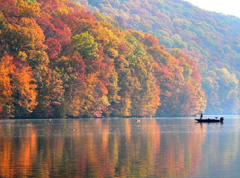 Person in a Boat — Orange, Serene, Autumn, Photograph, Trees