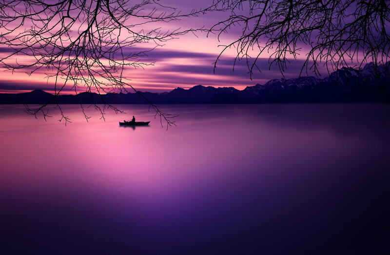 Person in a Boat — Purple, Serene, Sunset, Photograph, Tree Branches