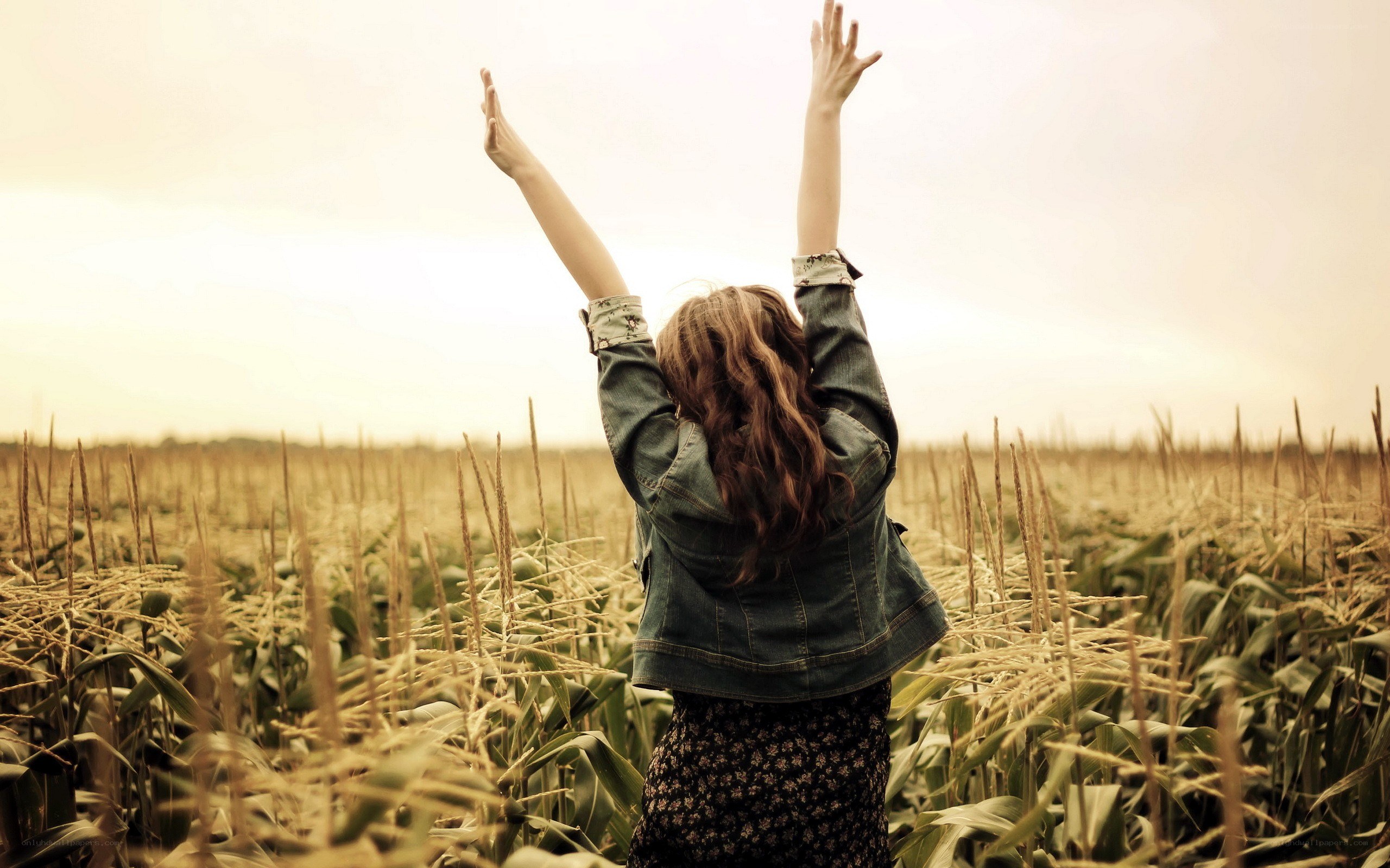 person in a cornfield with raised arms