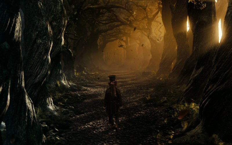 person in a dark forest