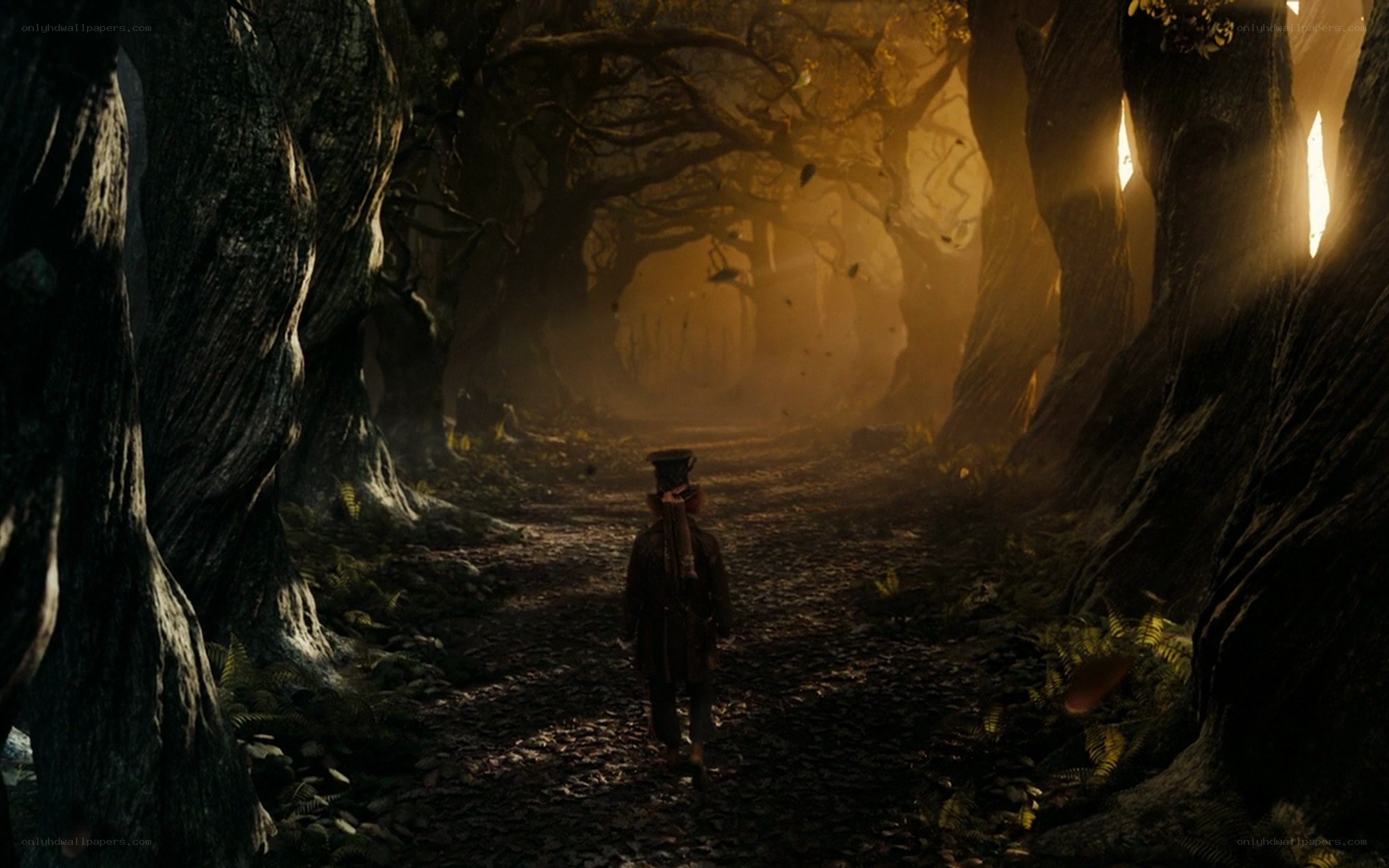 person in a dark forest