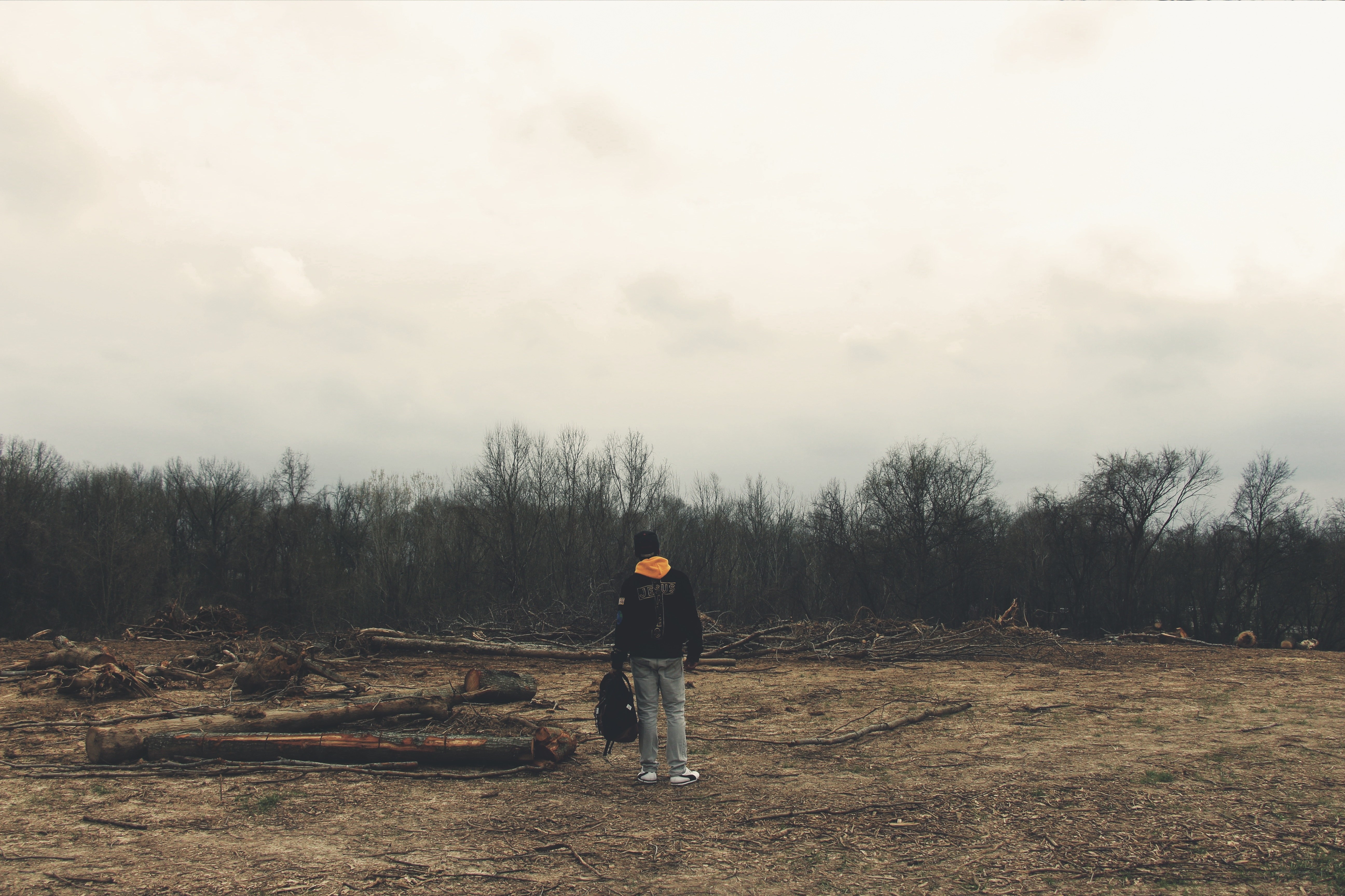 Person in a deforested area