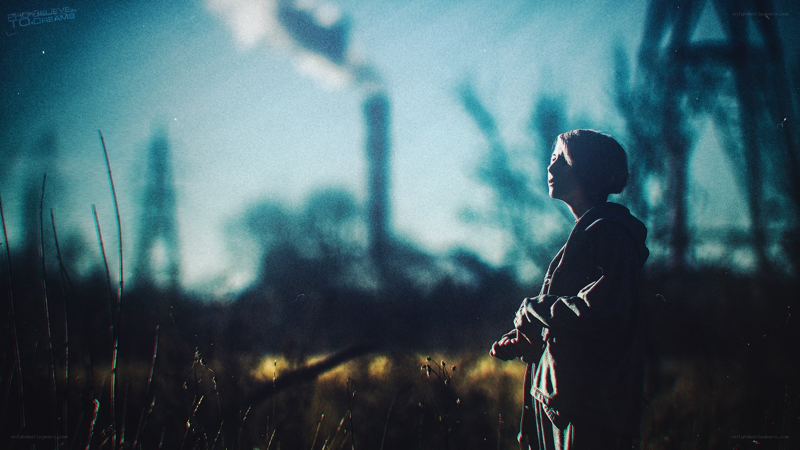 person in a field at dusk