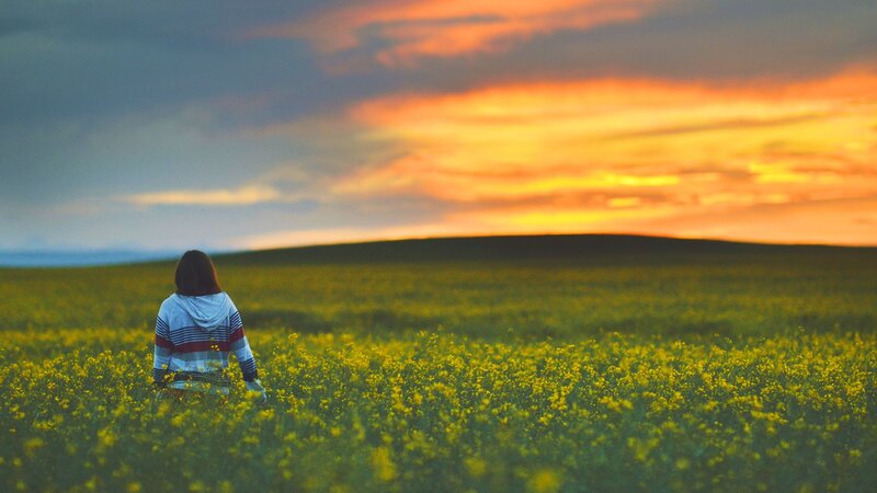 Person in a field at sunset