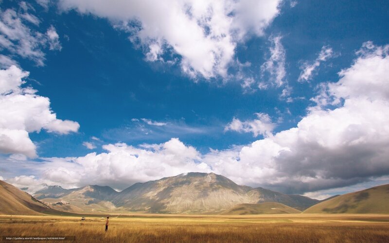 Person in a Field — Blue, Serene