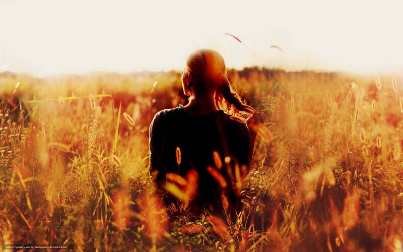 Person in a Field — Gold