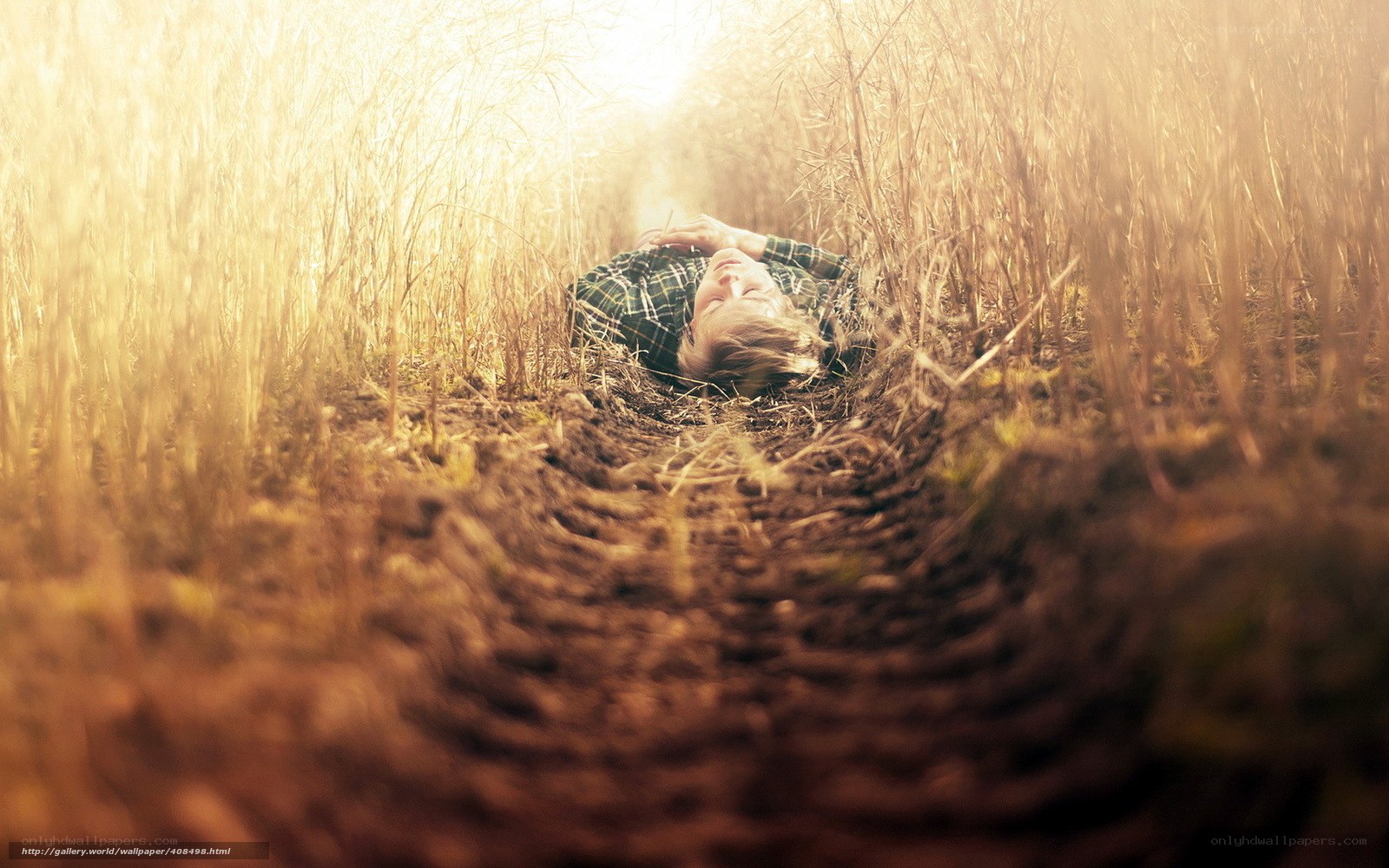Person in a field of tall grass
