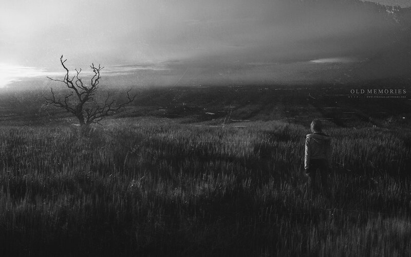 Person in a field with old memories