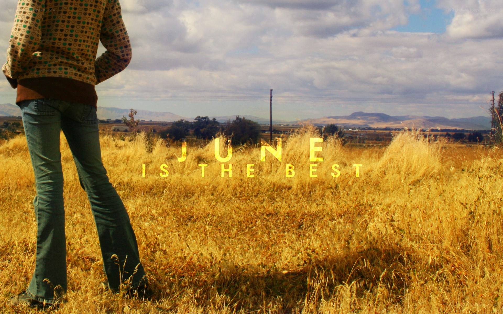 person in a field with text