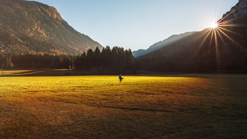 Person in a Field — Yellow, Serene