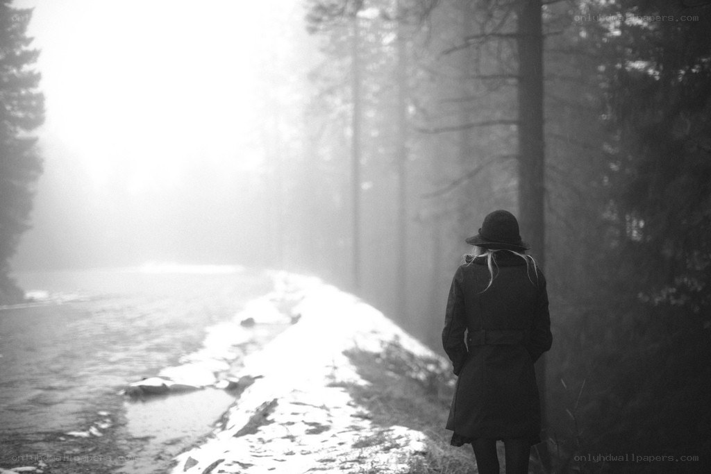 Person in a foggy forest