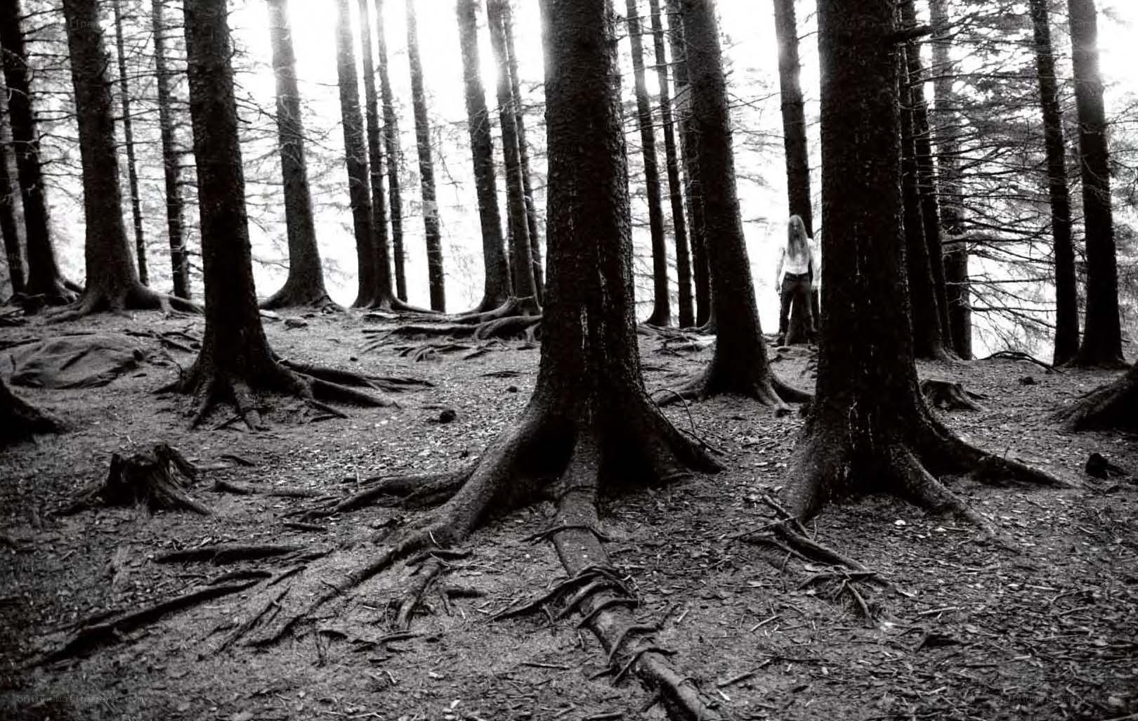 person in a forest