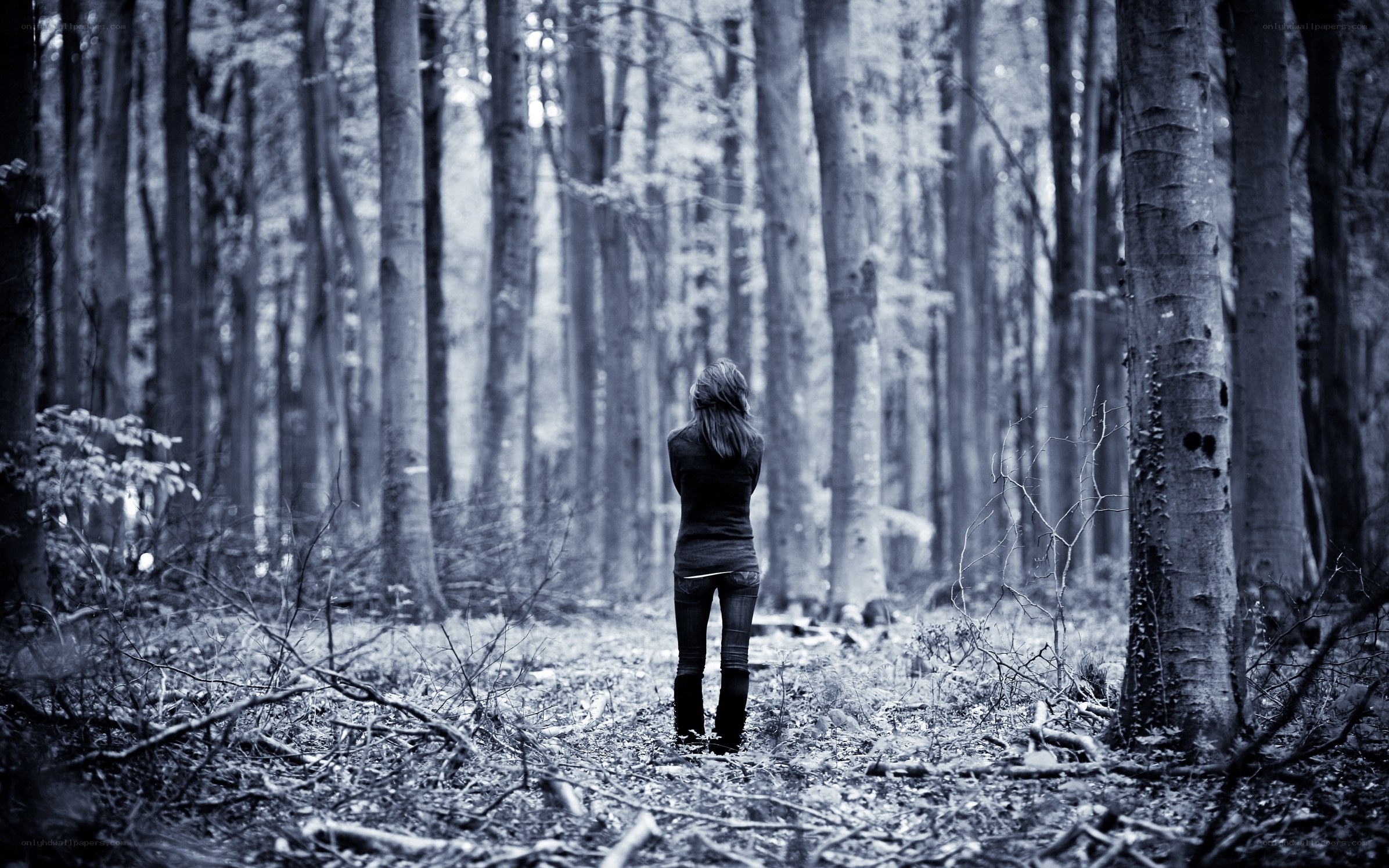 Person in a forest