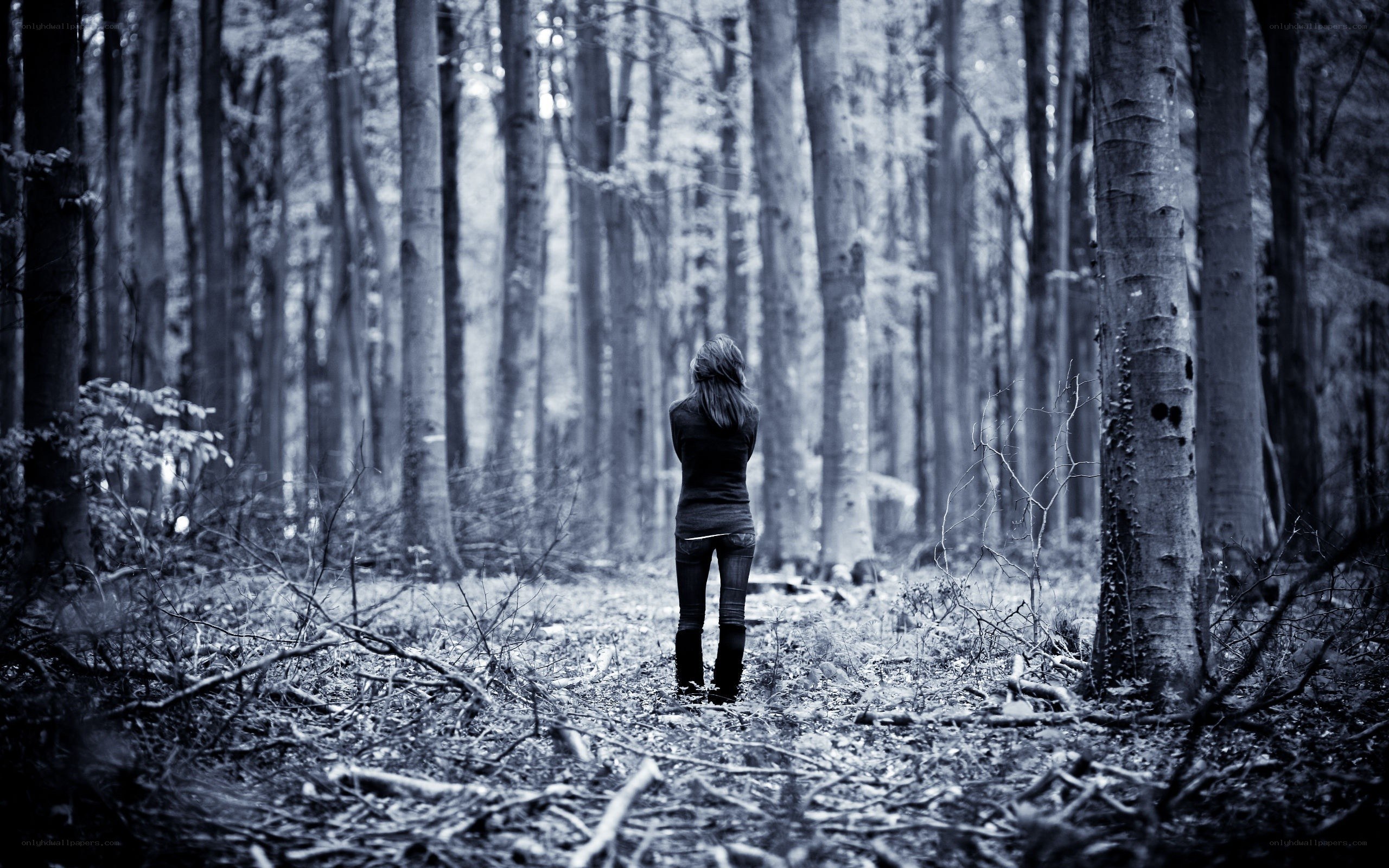Person in a forest