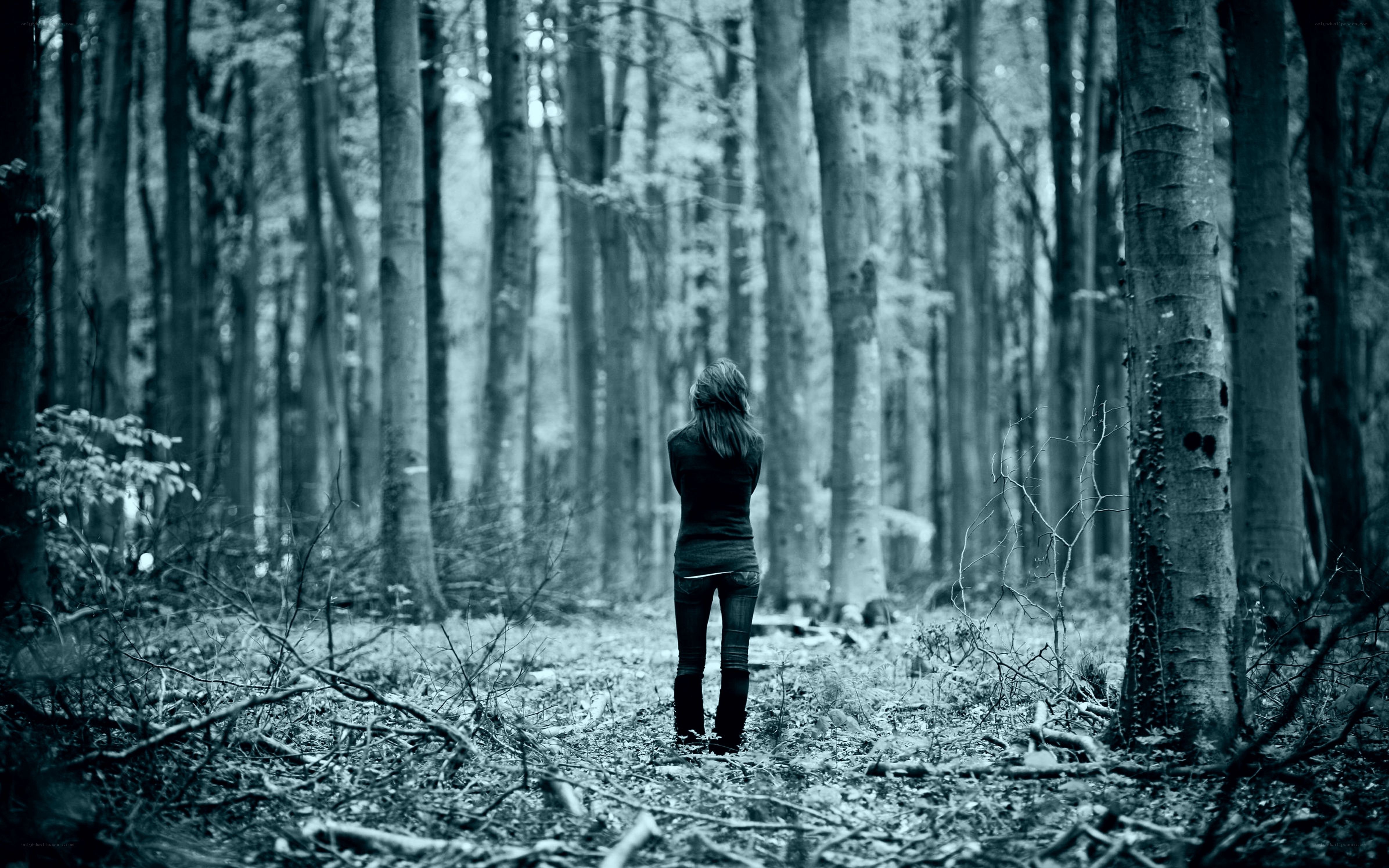 Person in a forest