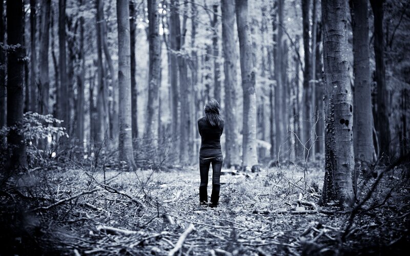 Person in a forest