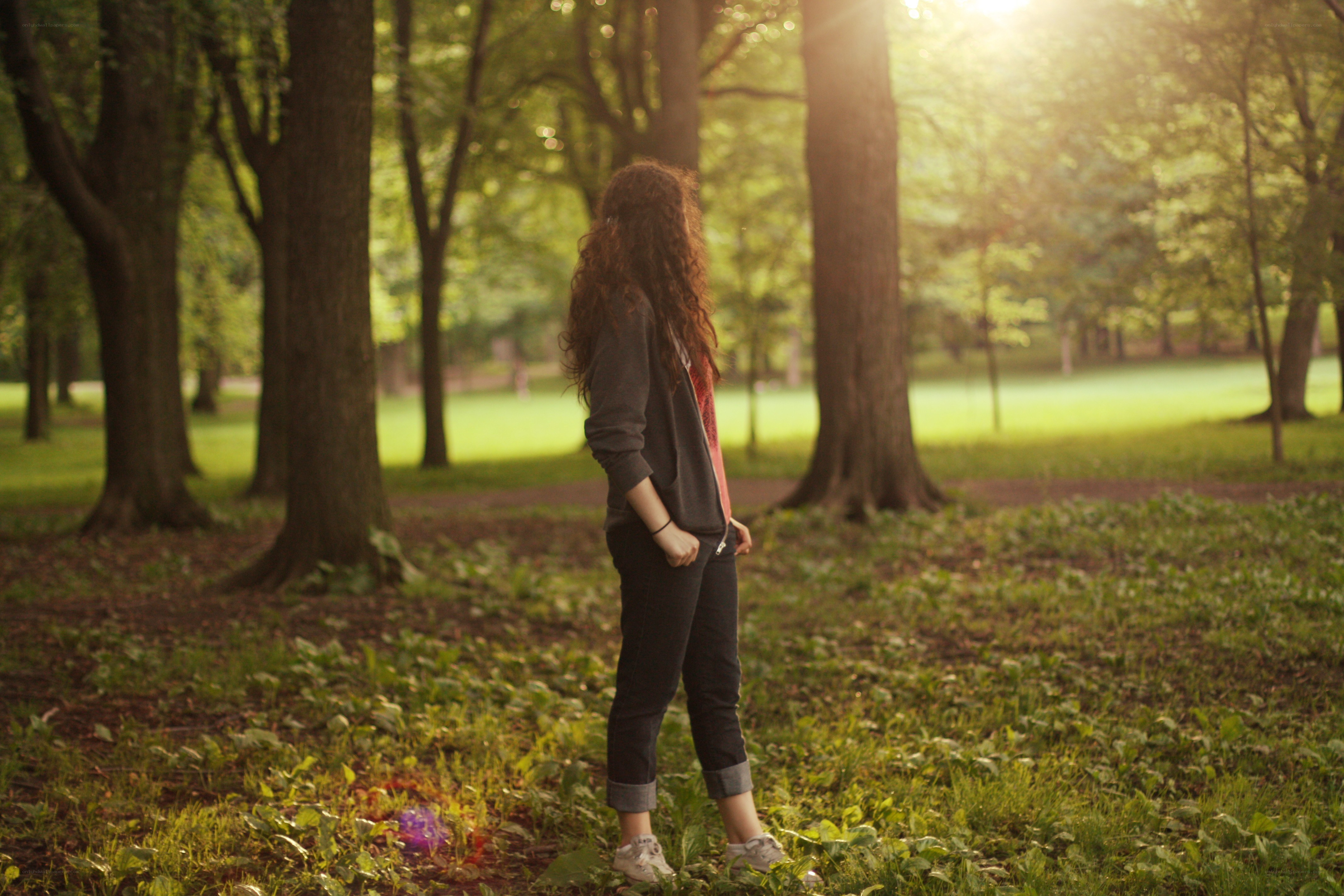 person in a forest at sunset