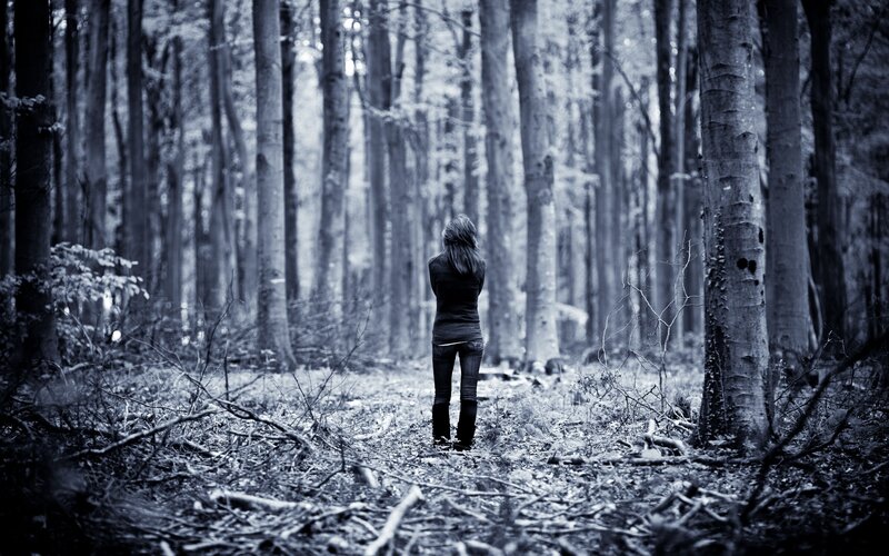 Person in a forest