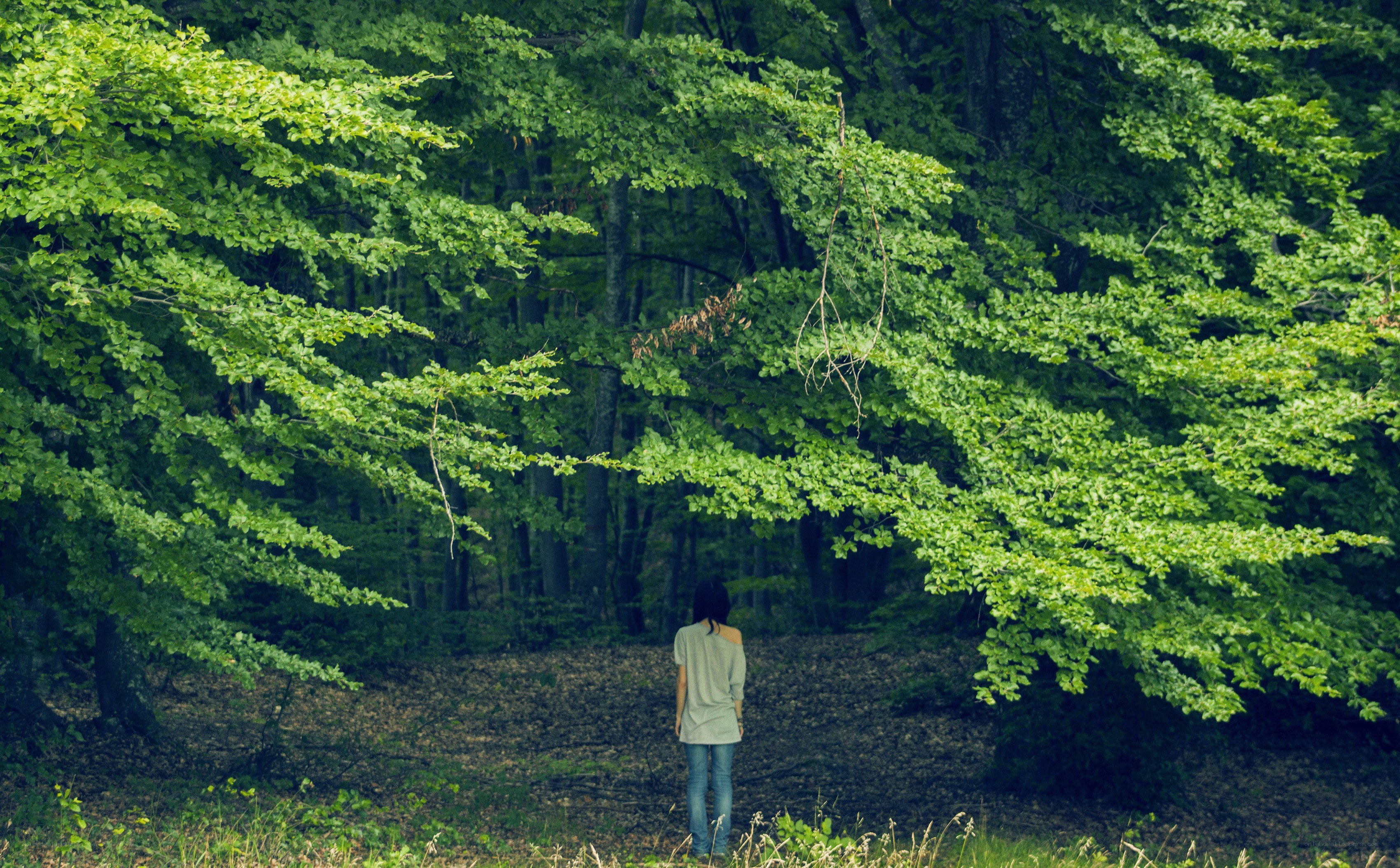 person in a green forest