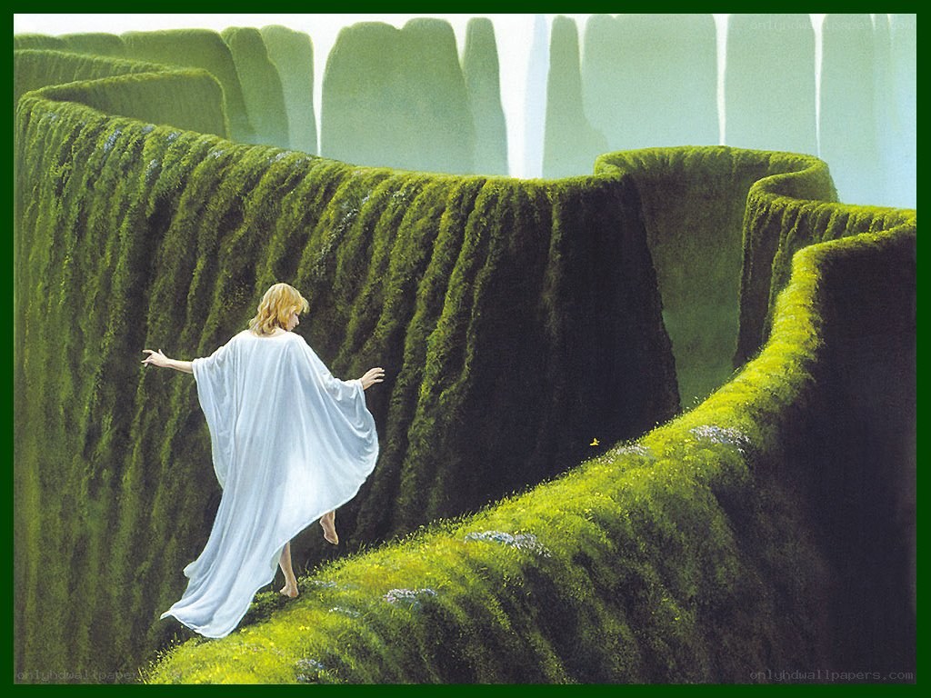 person in a green maze