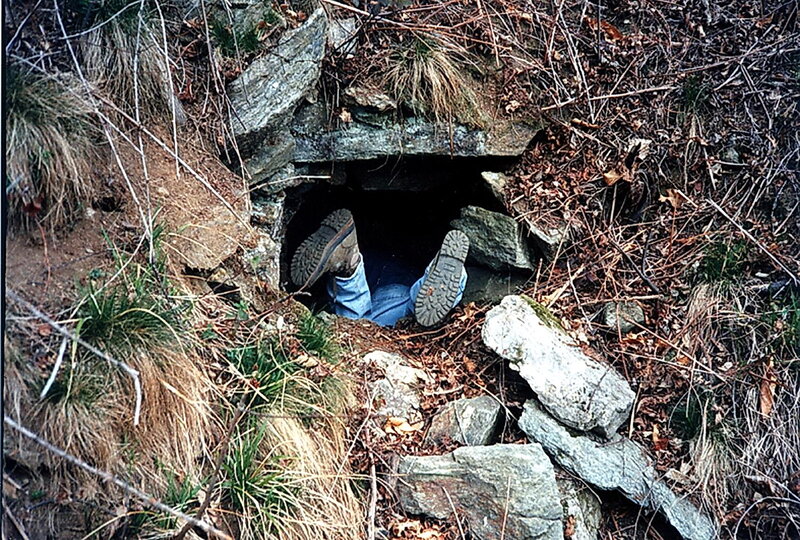 Person in a Hole — Brown