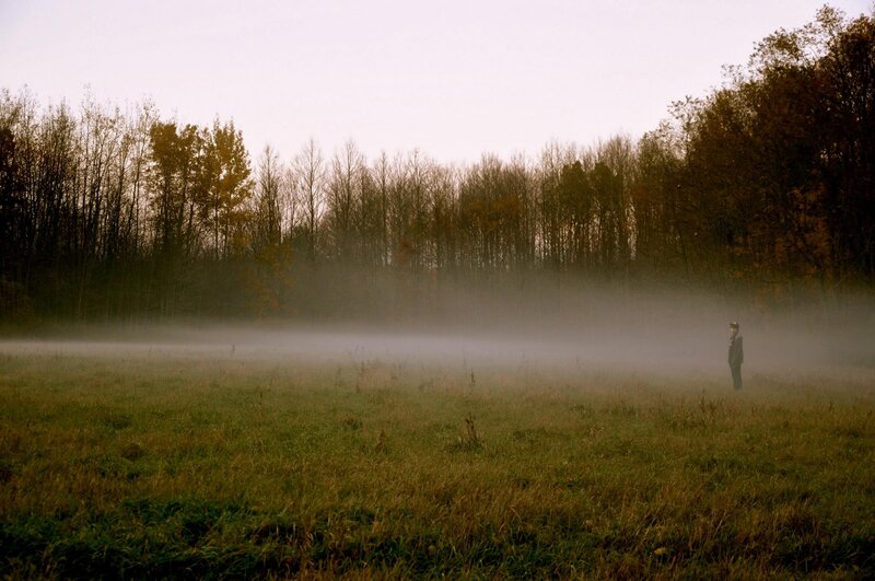 Person in a misty field