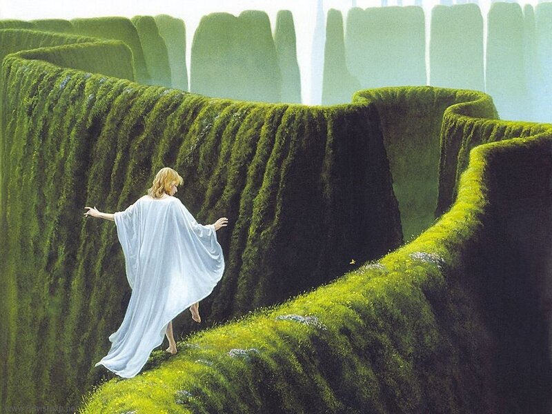 Person in a mossy maze