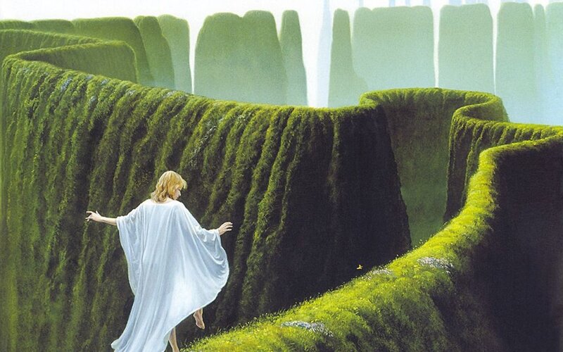 person in a mossy maze