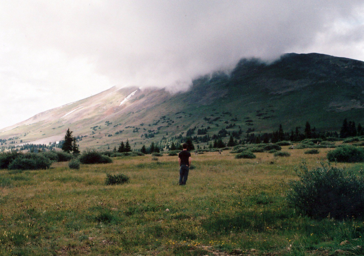 Person in a mountain meadow