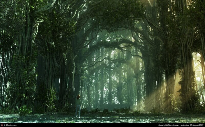 Person in a mystical forest