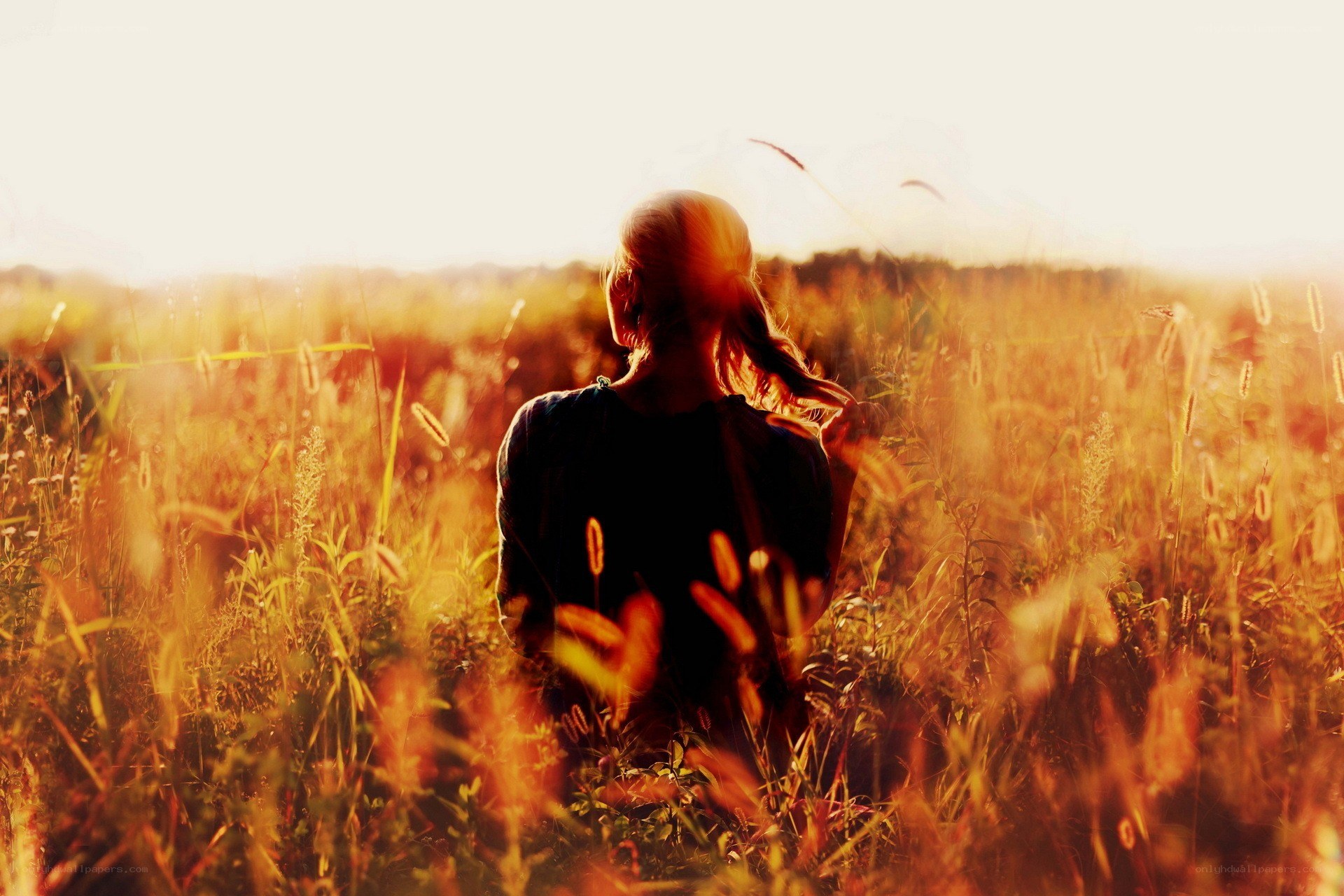 person in a sunlit field
