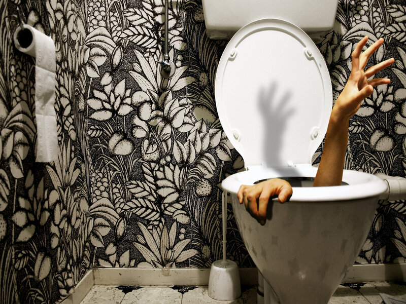 Person in a toilet with raised hands