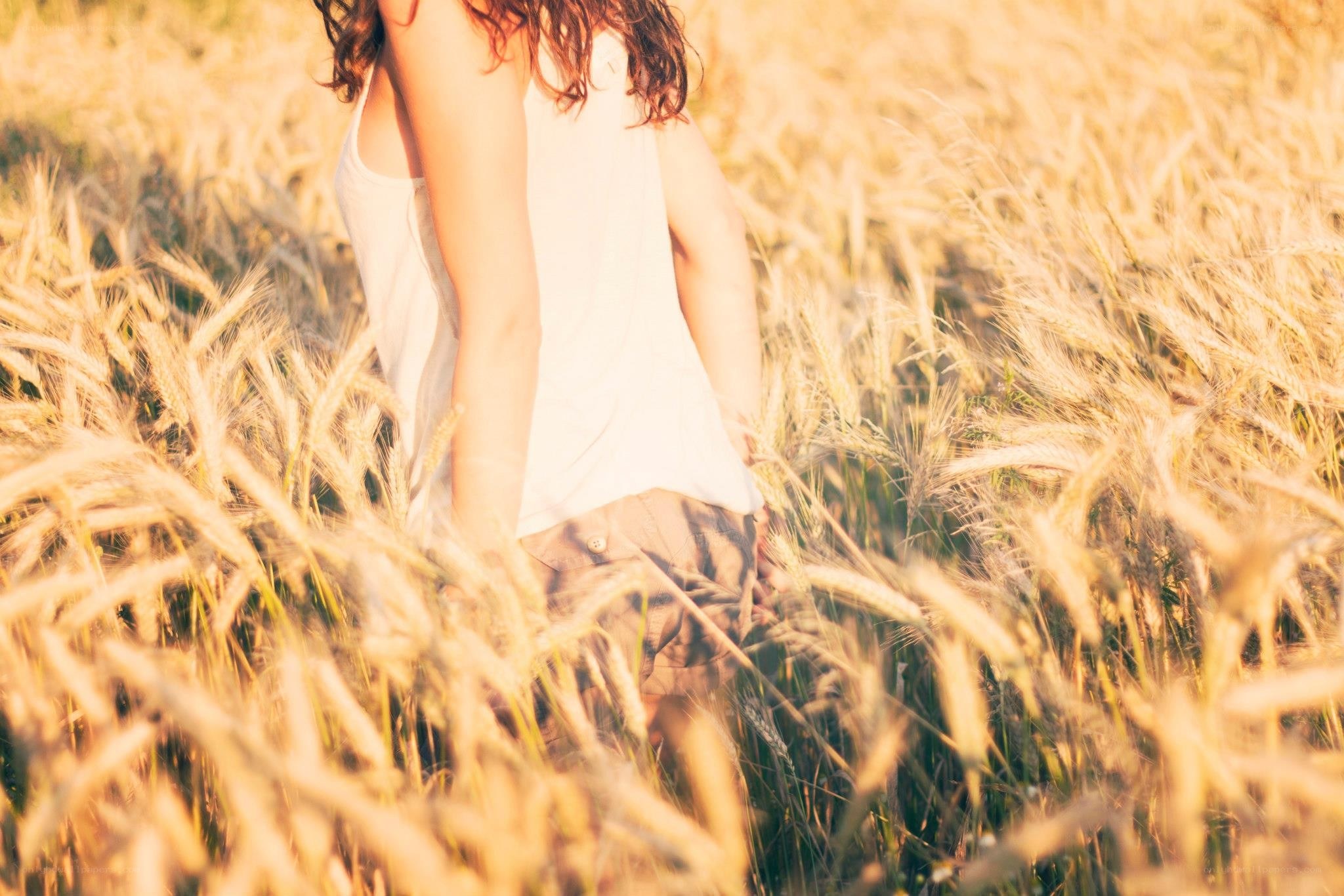 person in a wheat field