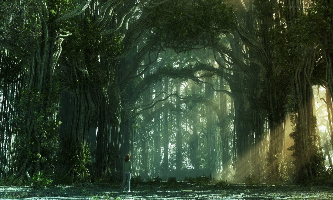 person in ancient forest