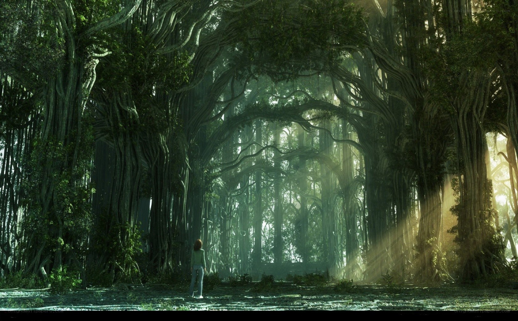 person in ancient forest