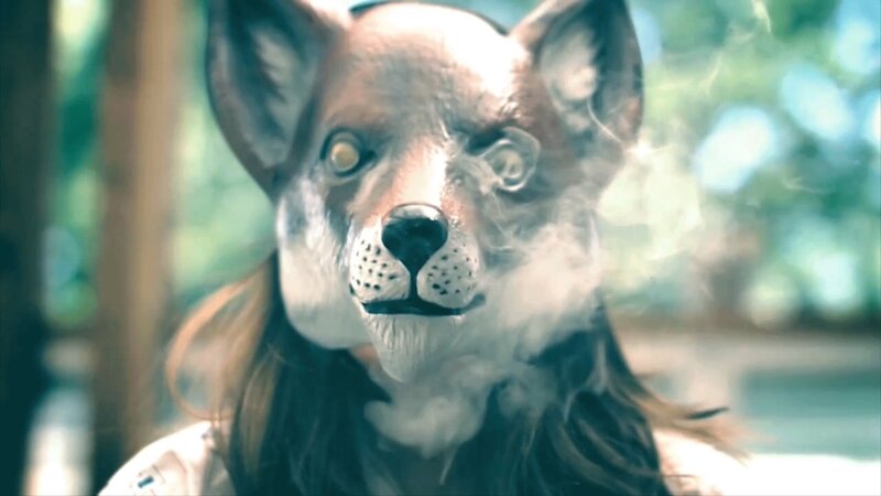 person in animal mask with smoke
