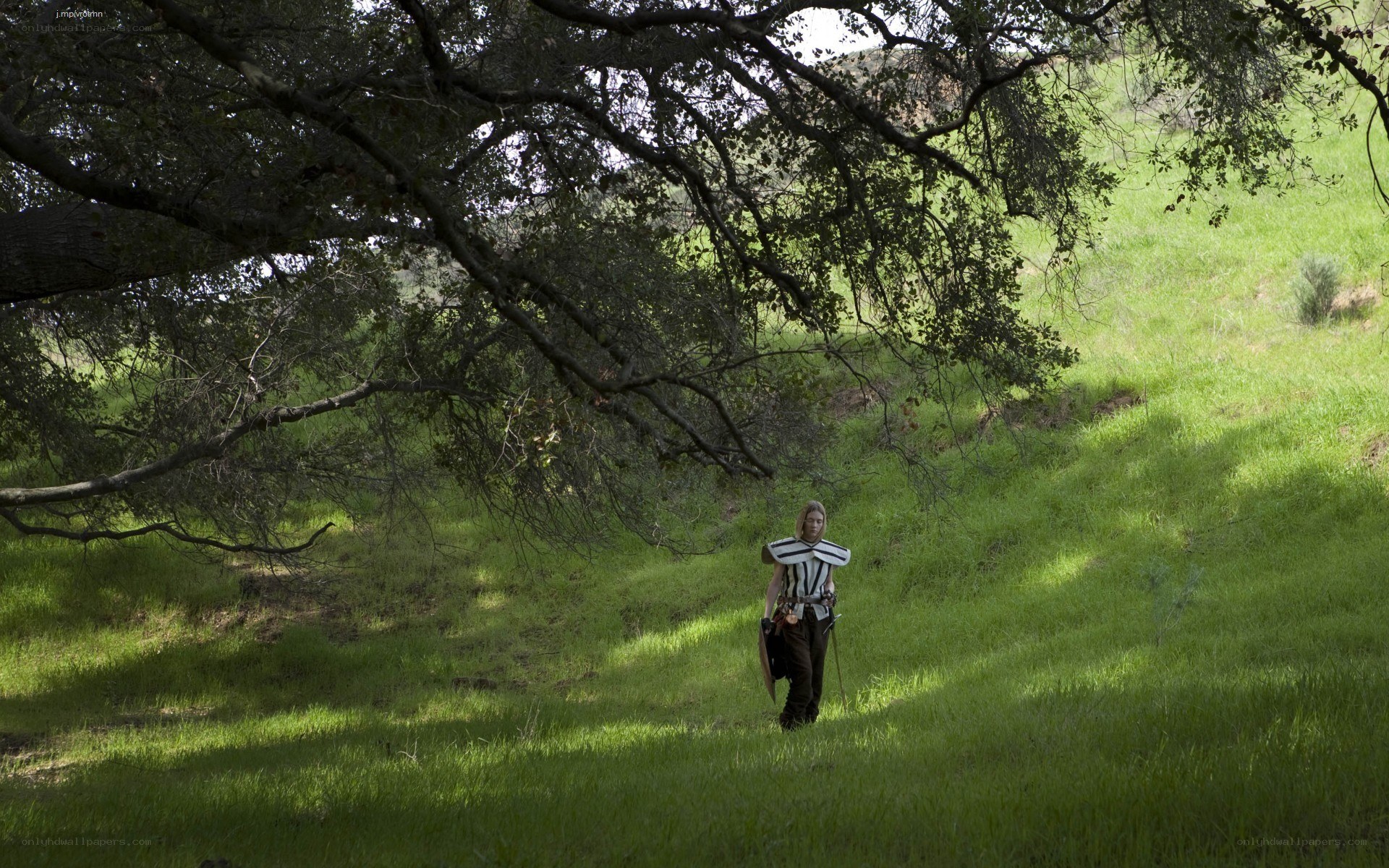 person in armor walking through field