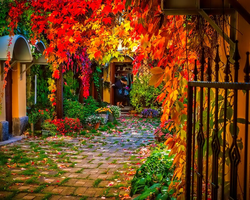 Person in Autumn Alley