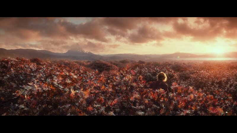Person in Autumn Field