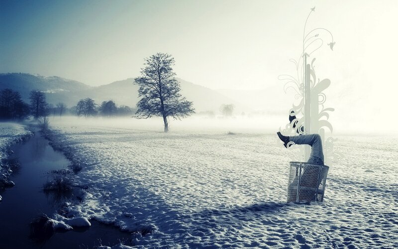 person in basket on snowy field